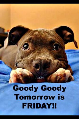 d64f9812d2c972f4a39c2e6d999a3e7e