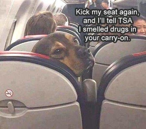 b21bd45aec824383255b067caf59826b