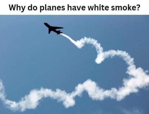 1b5491ec-e9e9-4337-bd9c-e7e9d58ada36