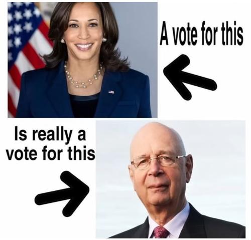 vote