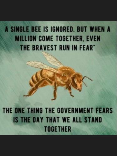 170b6f90-01c3-4ba4-85d2-6905e937e3d9
