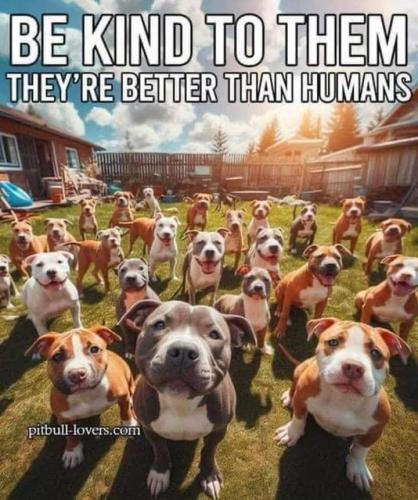 b0d15f2394b8504e4ce37eabe8244973