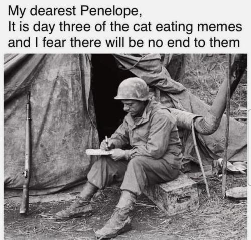 image_68A80D74-CF01-4B5A-A4B8-54C1A81F9507