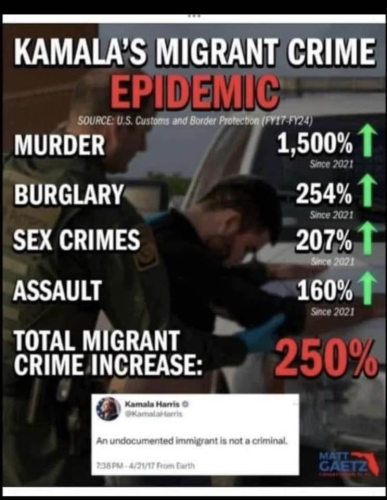 image_2024-09-14_112044274