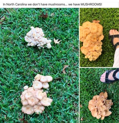 18A59596-9193-4DD1-A88F-2B2785D8355B