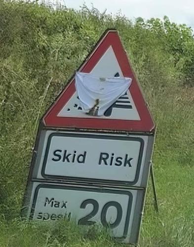 image_1ACE238D-C468-4D67-BCED-082AC145E3D3