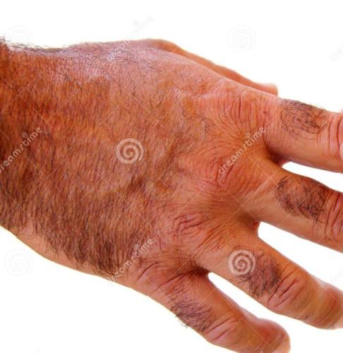 FB_IMG_1726004626234