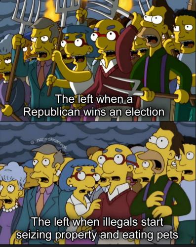 photo_2024-09-10_12-27-37