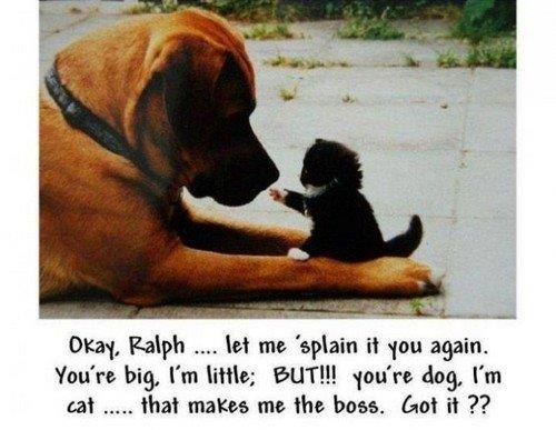 459009649_944390177700482_544151879685163506_n