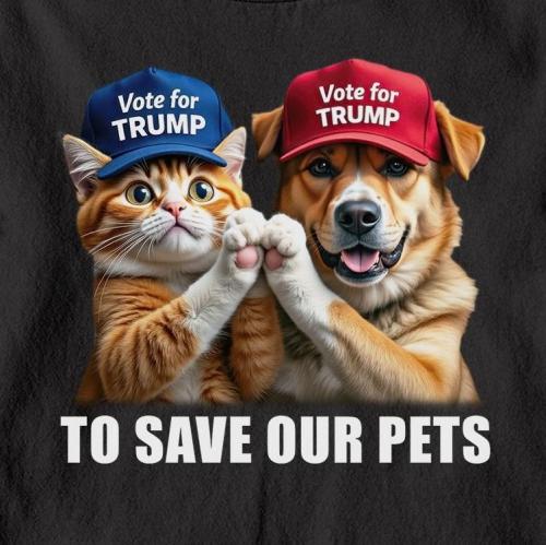 af8fa298-76dc-4c7f-a178-e9408aa6c4f2