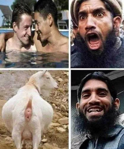 IMG_20240908_171305_804