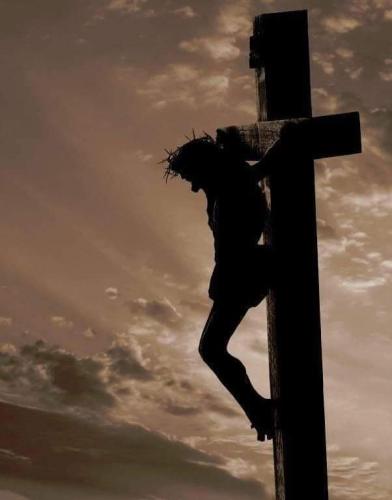 92a55d47-f8fb-4084-a909-eed4cfd19bc8