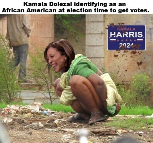 Kamala Dolezal at election time.960px