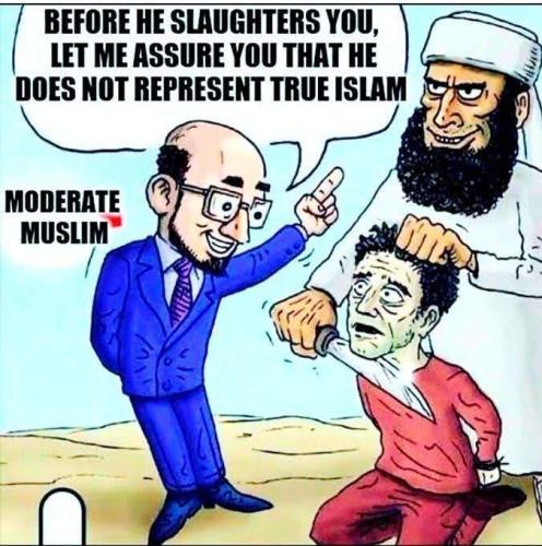 IMG_20240911_162317_537