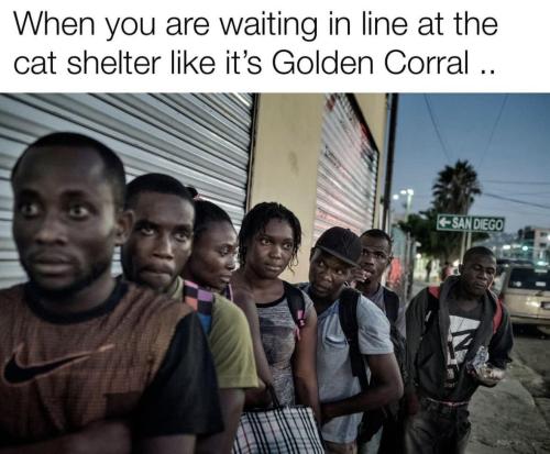 image_9AEE5138-A2BC-4394-9B93-45422447C6B1