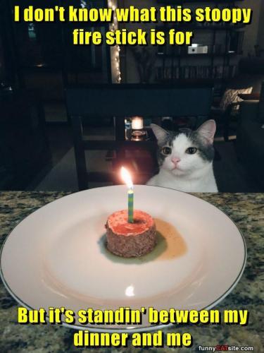 where-is-that-smokey-the-bear-when-you-need-him