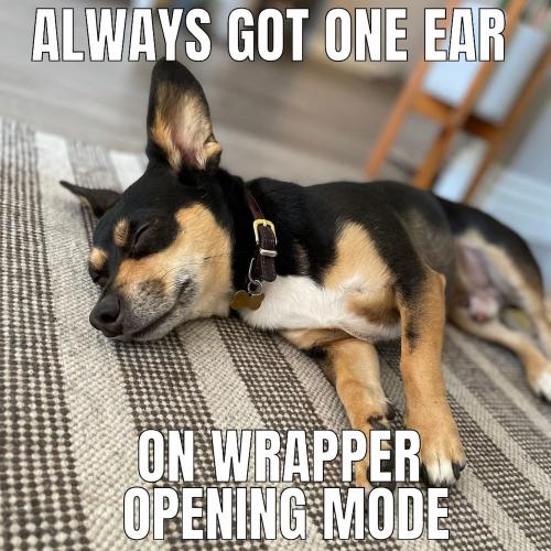 @mickeythemousedog3