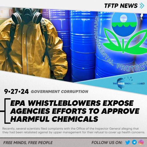 e3f3f3f3ffsfsefdsfdsgsdgdsvdsvvvvds333f3rffesfsfdsfefegfgeggegwssfaf