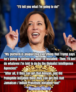 kamala harris515