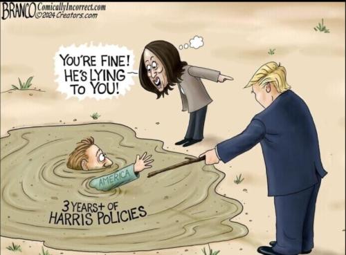 6748376d-c7f8-4fee-ab43-20e91566cf58