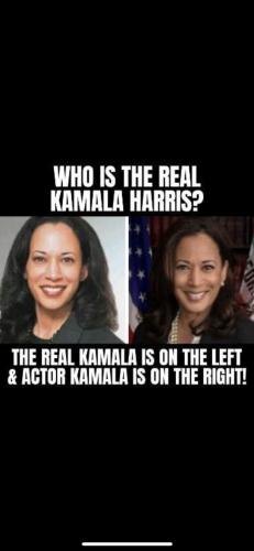 real and fake harris