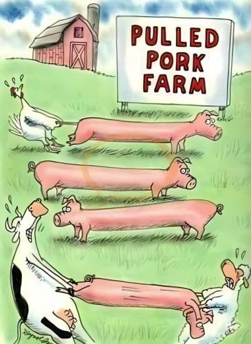 image_E957160E-024D-4A6C-8581-F248C483497F