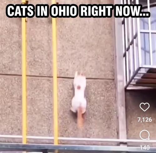 Screenshot_20240912_113308_Instagram