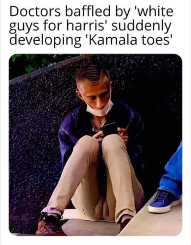 image_71285258-DEA3-4D39-B0AF-BF5AC963D7EE