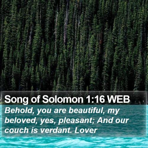 Song of Solomon 1_16