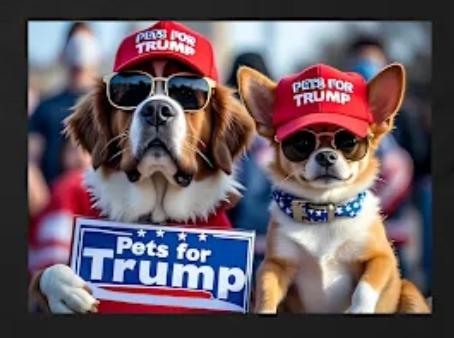 a40b99ed-e351-4be4-9ec7-d1e4ef378b56