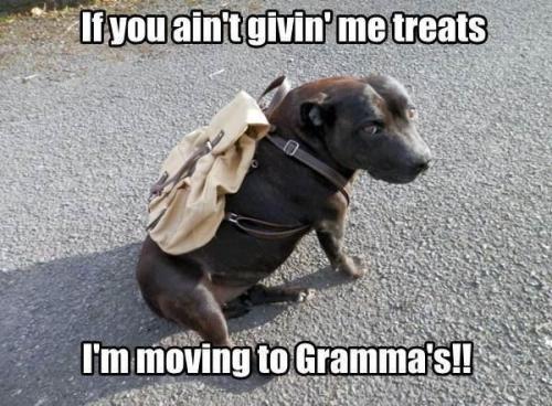 8195aaa10e6fd07f11fe27b23dcfde06