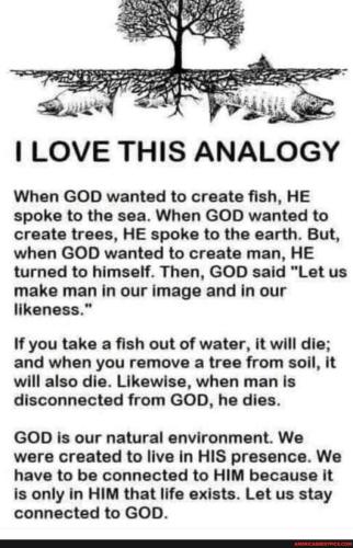 c71d055749c1b6ec77328df73cda36d0d48f8c8fd41daee5b8a4f4a206ac6aab_1