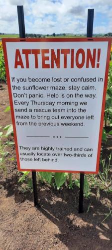 FB_IMG_1725562511203