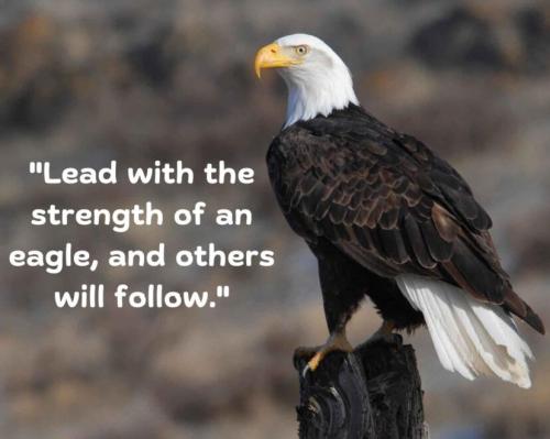 1-Lead with Strength of an Eagle