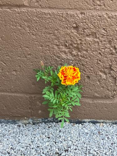 1358559C-3277-4E89-AF27-DC1C83932A4F