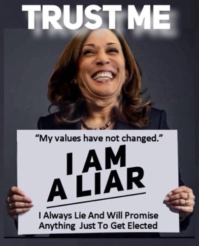 image_2024-09-27_065026633