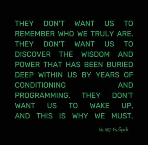 FB_IMG_1726539474804