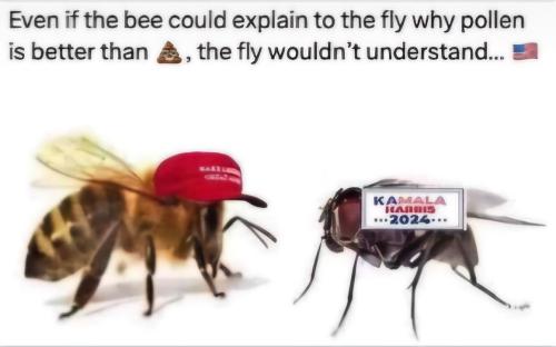 600be828-9b10-43cf-b9e1-cbb0eafc276e