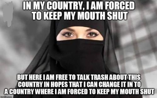 IMG_20240916_091351_882