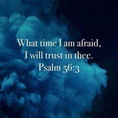 3a01f64e-7793-4fc4-adfb-b38bd606575f