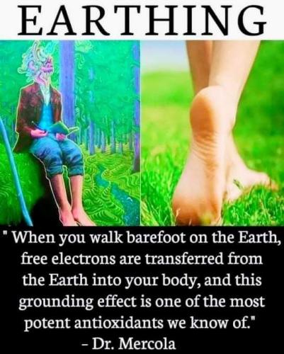 FB_IMG_1726670589529