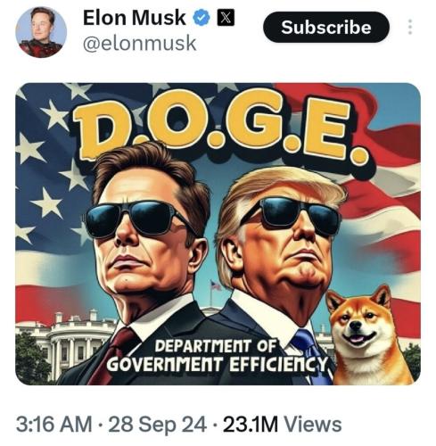 Musk 1
