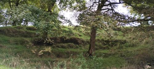 IMG_20240914_124458872