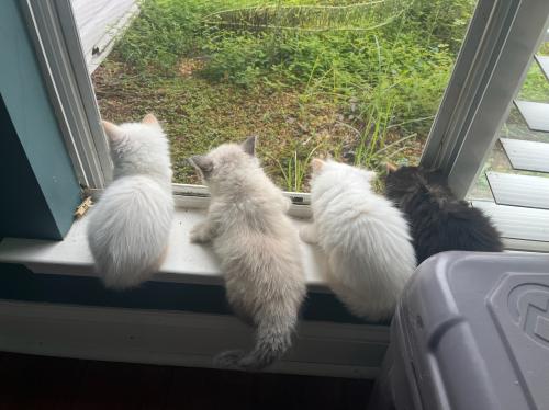 C8DE0BDB-0D71-4D0F-9205-897C98A4DFC7