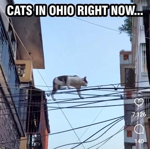 Screenshot_20240912_113258_Instagram