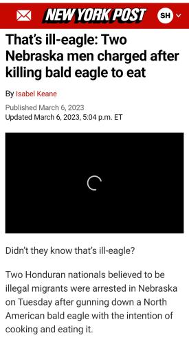 Screenshot_20240911_081900_Chrome