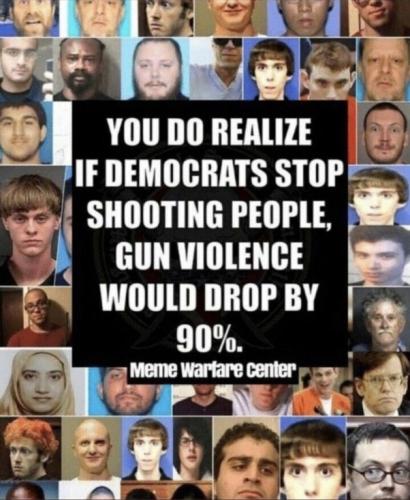 DEMOCRAT GUNS