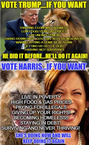 IMG_20240919_050253_422