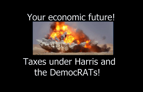 Harris' tax plan