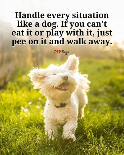 37b2b1a6cb8e05e39e34027dc45f53d8